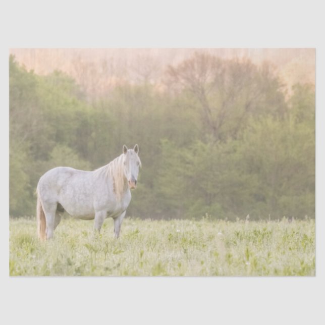 Broadfoot Mare Seidenpapier (Vorderseite)