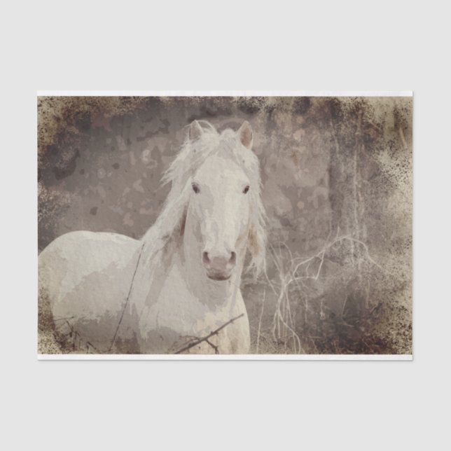 Broadfoot Stallion 18 ob. Dekopapier Seidenpapier (Vorderseite)