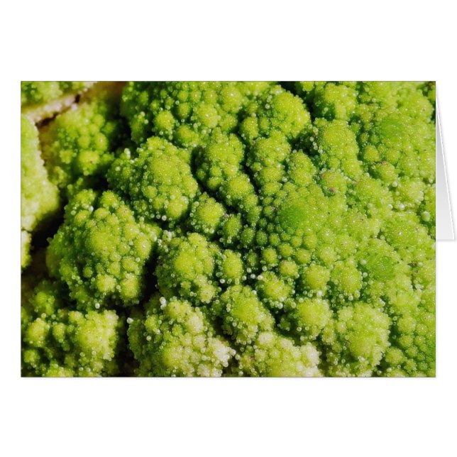 Brocco-Blume Gemüse (Vorderseite (Horizontal))
