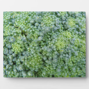 Broccoli Macro Plaque Fotoplatte