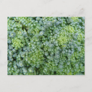 Broccoli Macro Postcard Postkarte