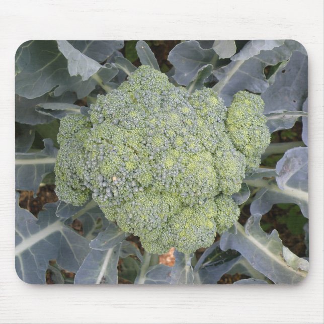 Broccoli Mousepad (Vorne)