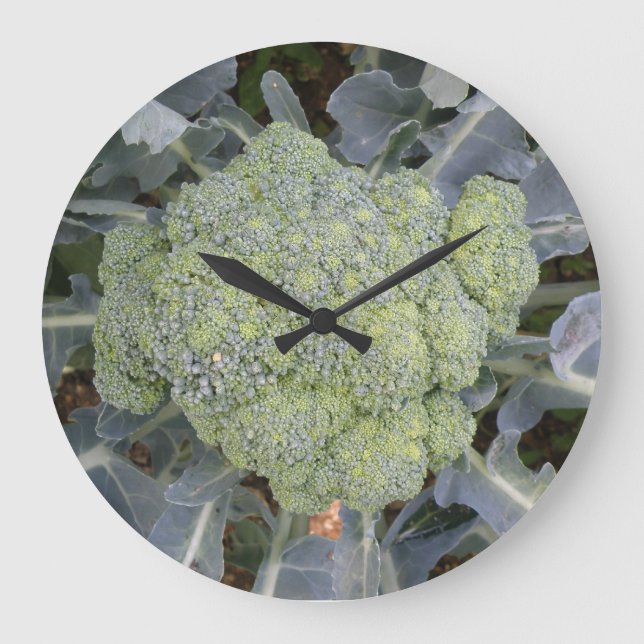 Broccoli Wall Clock Große Wanduhr (Vorderseite)
