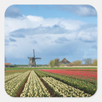 Brochure à vent et tulipes autocollant paysage