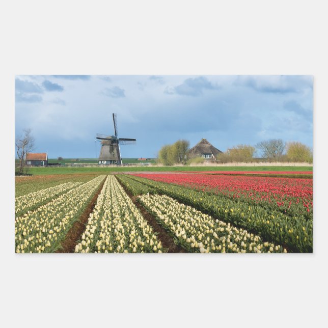 Brochure et tulipes paysage autocollant rectangula (Devant)