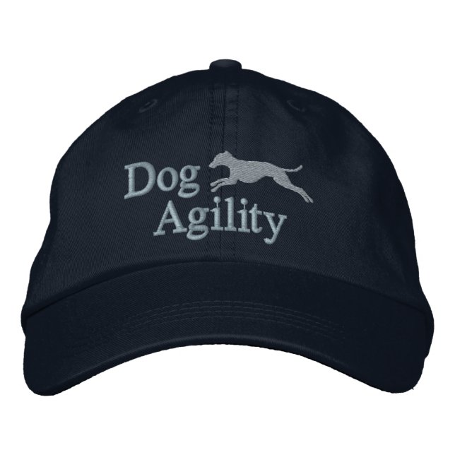 Brodée Agilité Italienne Gris Casquette brodé (Bleu) (Devant)