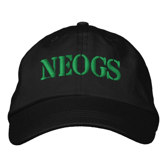 BRODÉE CASQUETTE DE BASEBALL NEOGS (Devant)