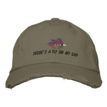 IL Y A UN VOL SUR MON CASQUETTE