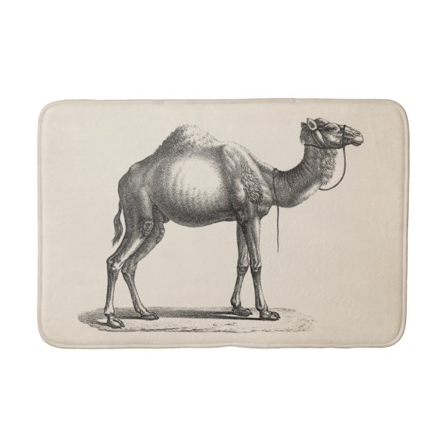 Brodtmann Dromedary Camel Sketch Badematte (Vorderseite)