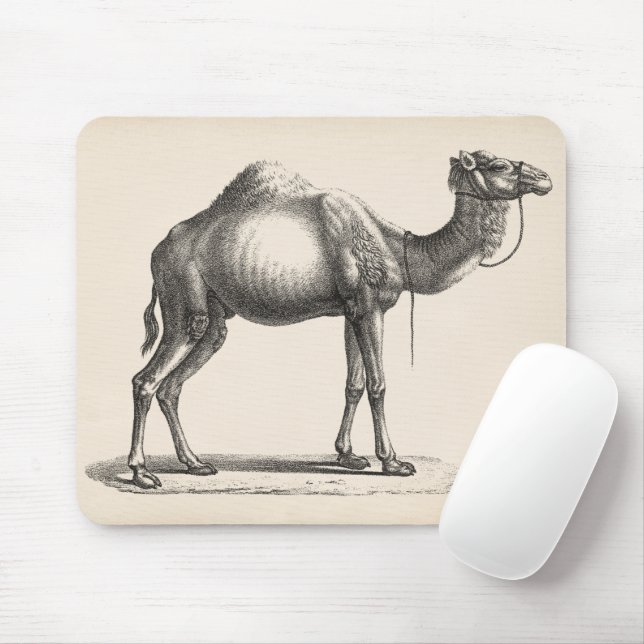 Brodtmann Dromedary Camel Sketch Mousepad (Mit Mouse)