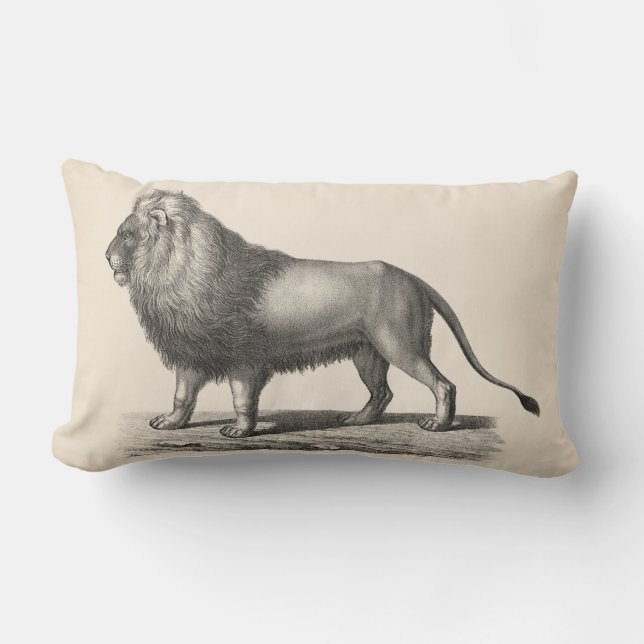 Brodtmann Lion Sketch Lendenkissen (Vorderseite)
