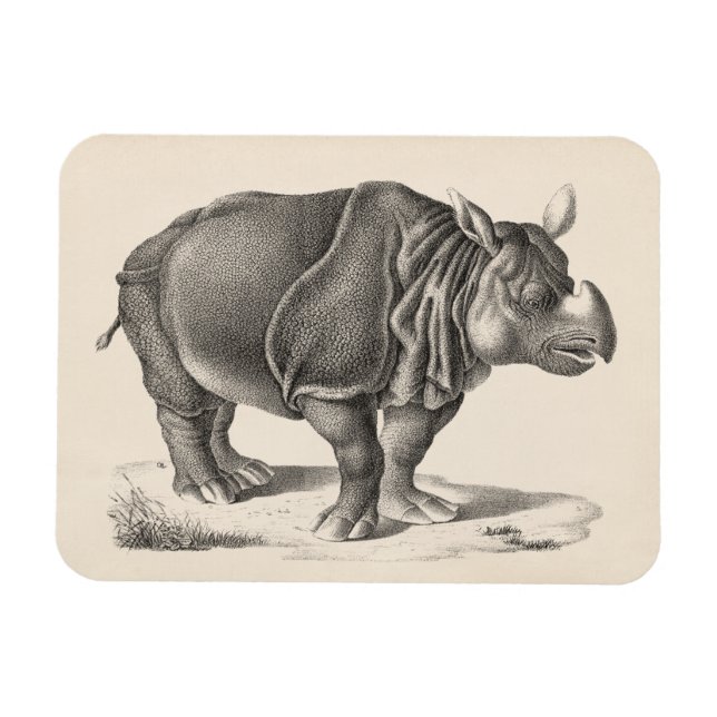 Brodtmann Rhinoceros Sketch Magnet (Horizontal)