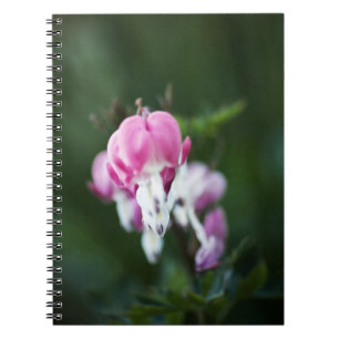 Broken Hearts Line Up Notebook Notizblock