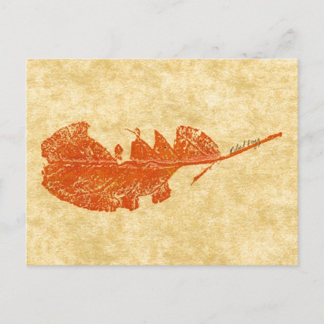 "Broken Leaf #1" Landstraßen Postkarte (Vorderseite)