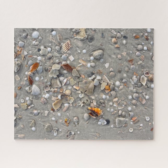 Broken Shells on Cape San Blas, Florida 16x20 (Horizontal)
