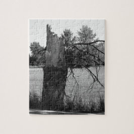 Broken Tree