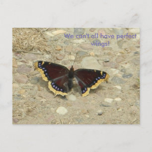 Broken Wing Potcard Postkarte