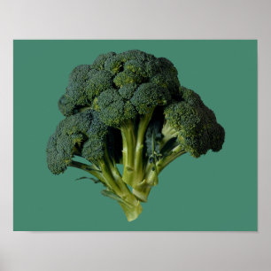 Brokkoli 14" x 11", Wert-Plakat-Papier (Matt) Poster
