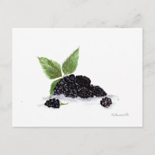 Brombeeren Früchte Aquarellmalerei Postkarte
