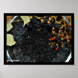 Brombeeren im Sieb Poster