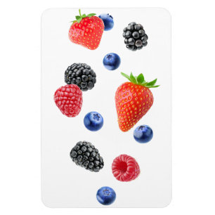 Brombeeren Magnet
