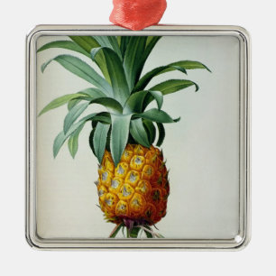 Bromelia-Ananas, von 'Les Bromeliacees Ornament Aus Metall