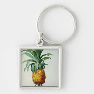 Bromelia-Ananas, von 'Les Bromeliacees Schlüsselanhänger