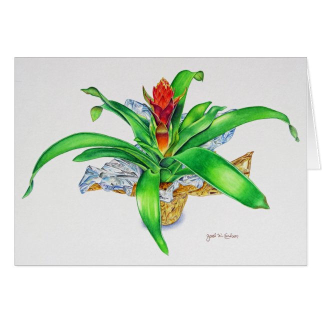 Bromeliad Aquarell (Vorderseite (Horizontal))