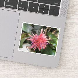 Bromeliad-Blume Aufkleber