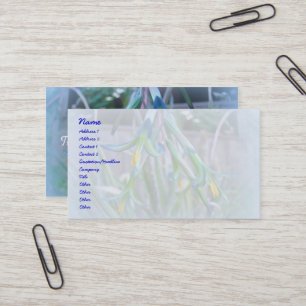 Bromeliad Blüten Visitenkarte