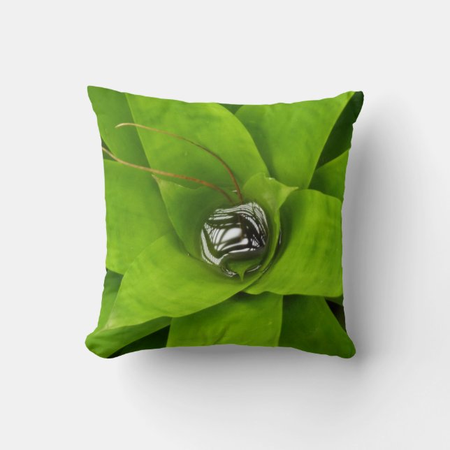 Bromeliad Green Botanical Fotografie Kissen (Vorderseite)