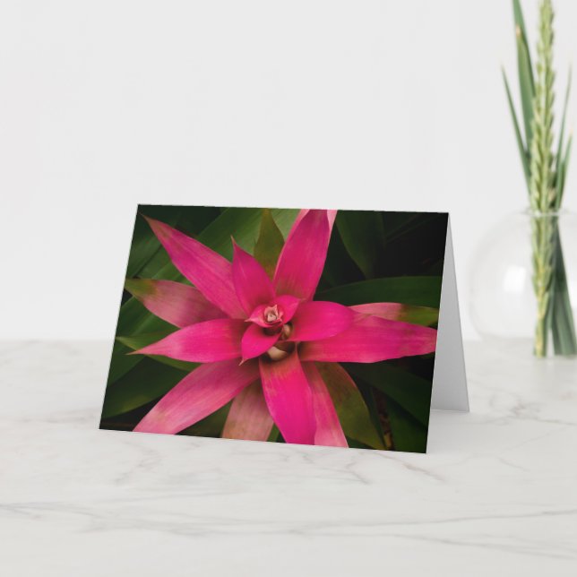Bromeliad in Bloom Dankeskarte (Vorderseite)