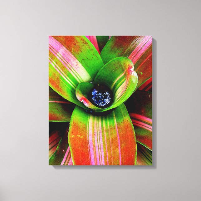 Bromeliad Leinwanddruck (Vorderseite)