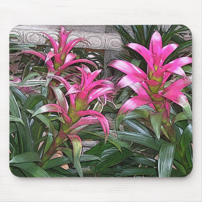 Bromeliad Mouspad Mousepad (Vorne)
