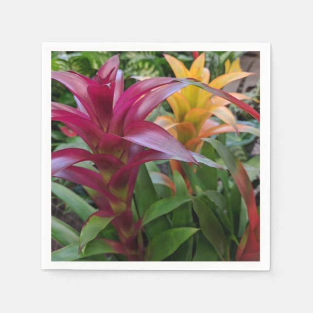 Bromeliad Paper Napkin Serviette (Vorderseite)