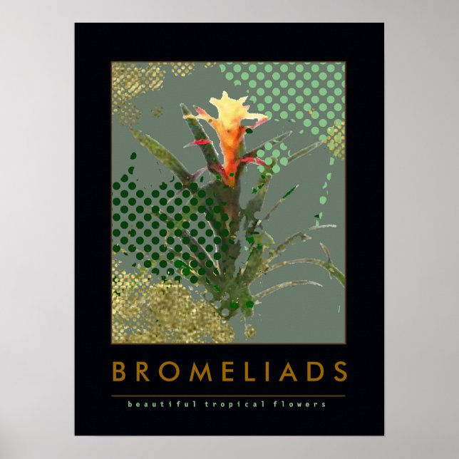 Bromeliads Kunstdekoration Poster (Vorne)