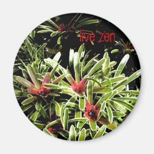 bromeliads leben Zenmagnet Magnet