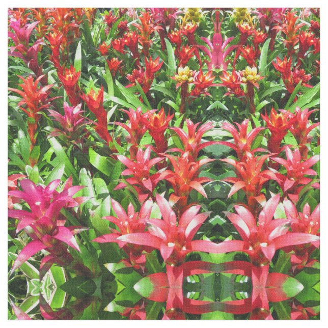 Bromeliads Stoff (Nahaufnahme)
