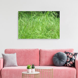Bromus tectorum leinwanddruck