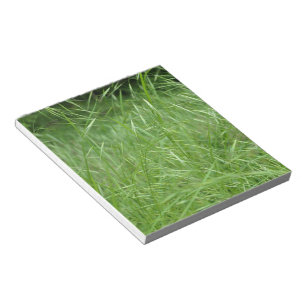 Bromus tectorum notizblock