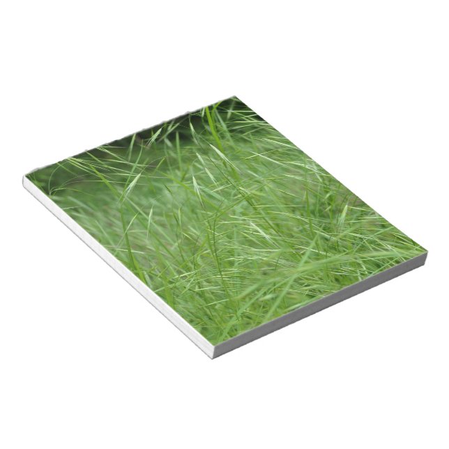 Bromus tectorum notizblock (angewinkelt)