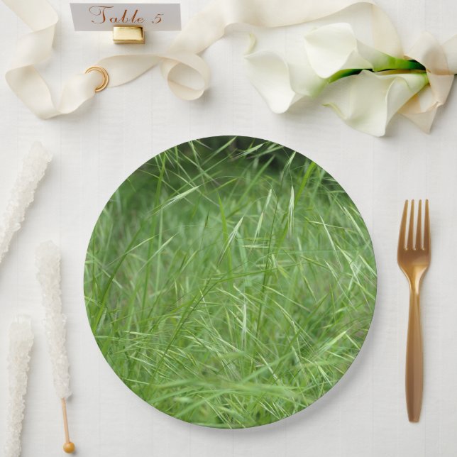 Bromus tectorum Paper Plate Pappteller (Hochzeit)
