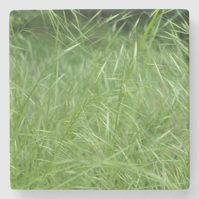 Bromus tectorum steinuntersetzer (Vorderseite)