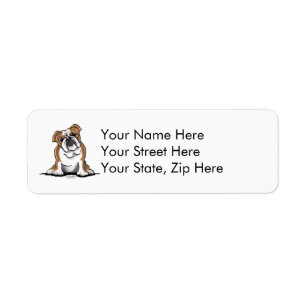 Bron in White English Bulldog Sit Hübsch
