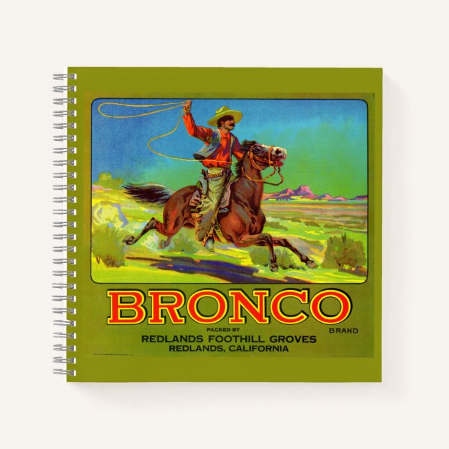 Bronco-Fruchtkartett der 20er Jahre Notizbuch (Vorderseite)