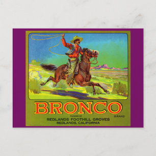 Bronco-Fruchtkartett der 20er Jahre Postkarte