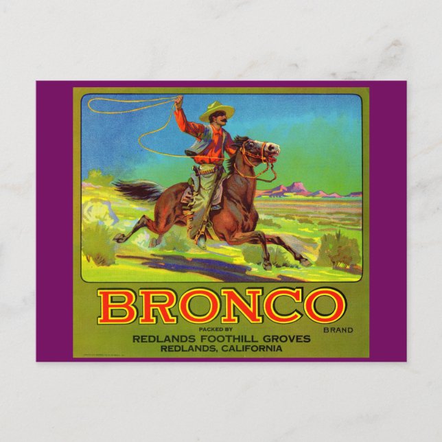 Bronco-Fruchtkartett der 20er Jahre Postkarte (Vorderseite)