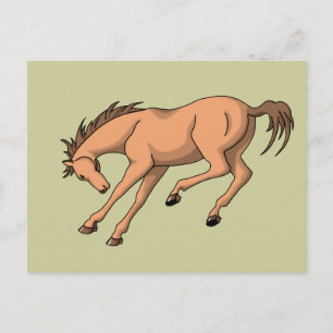 Bronco Postkarte