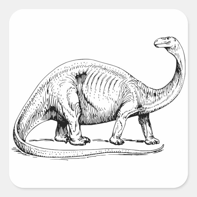 Brontosaurus Quadratischer Aufkleber (Vorderseite)