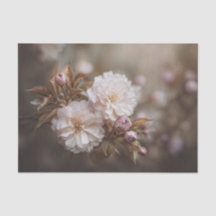 Bronze Blatt Pink Double Sakura Blüte